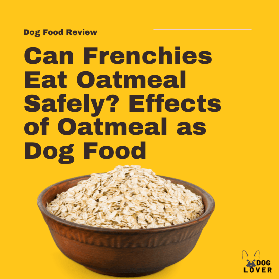 Can Frenchies eat oatmeal