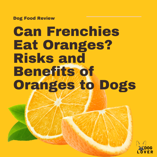 Can Frenchies eat oranges