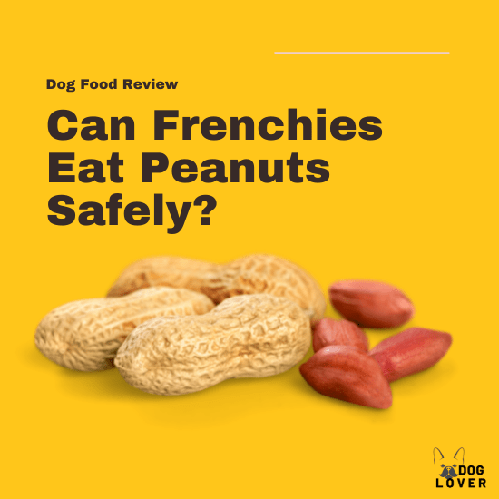 Can Frenchies eat peanut