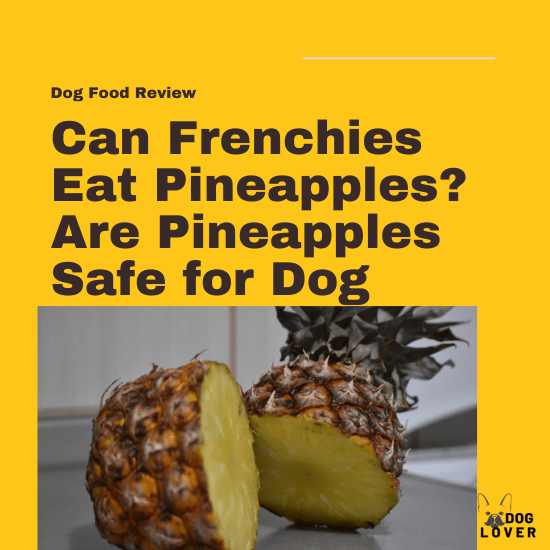 Can Frenchies eat pineapples