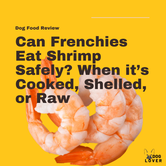 Can Frenchies eat shrimp