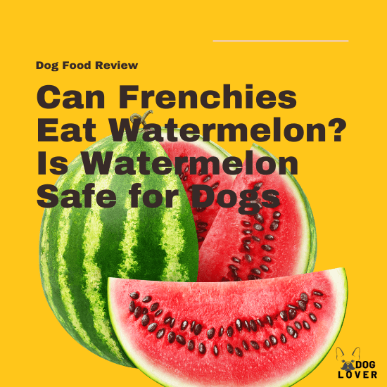 Can Frenchies eat watermelon