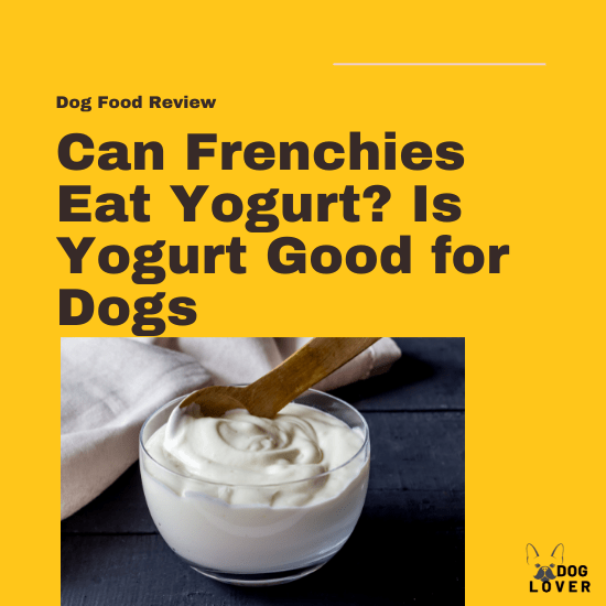 Can Frenchies eat yogurt