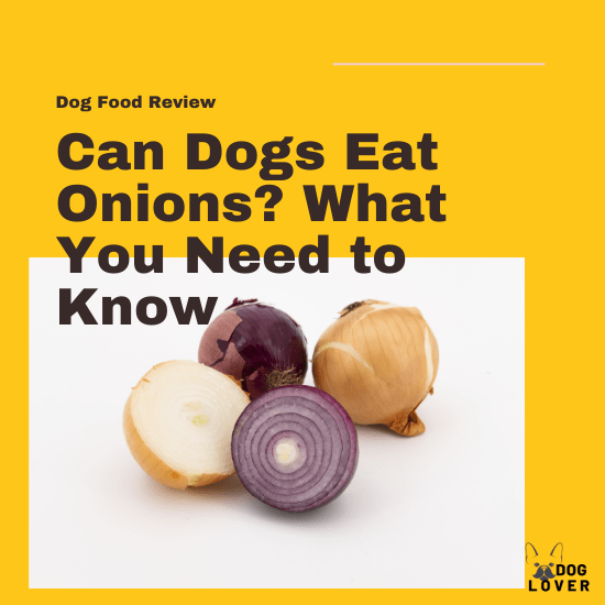 Can dogs eat onions