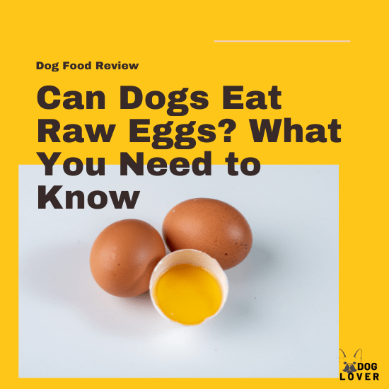 Can dogs eat raw eggs