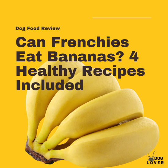 Can Frenchies eat bananas