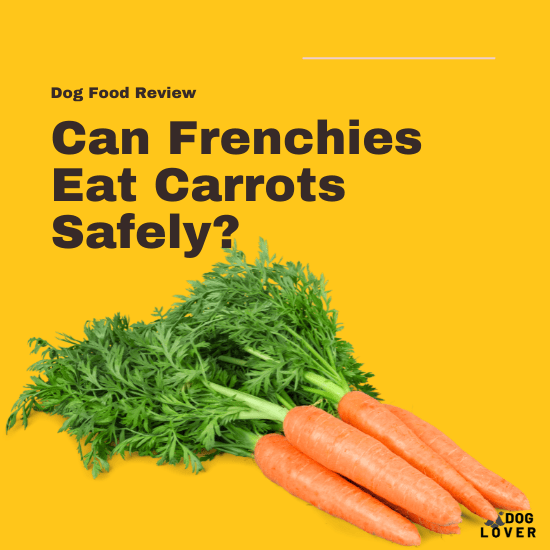 Can Frenchies eat carrots