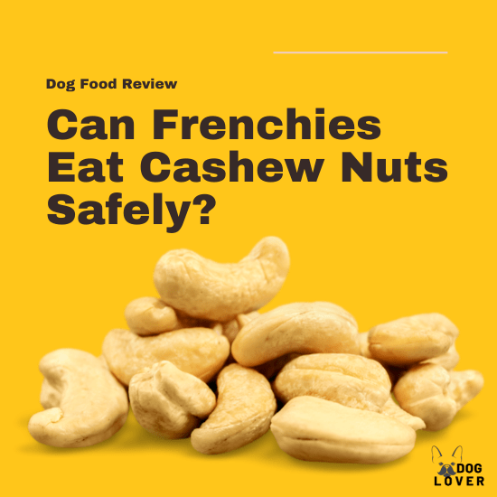 Can Frenchies eat cashew nuts