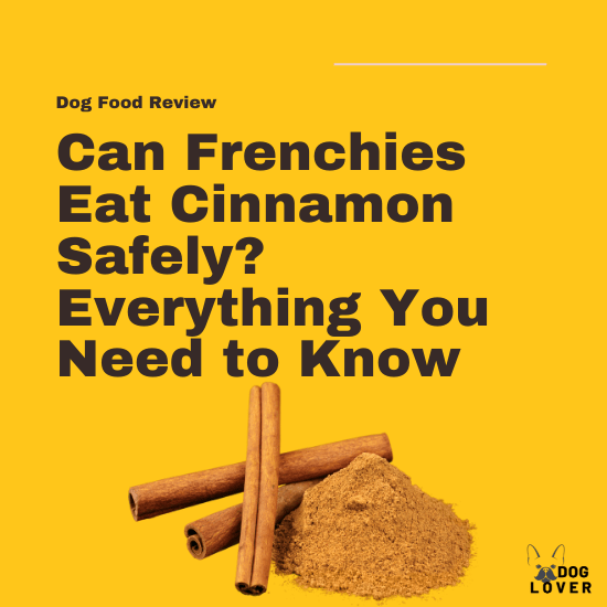 can-frenchies-eat-cinnamon-safely-everything-you-need-to-know