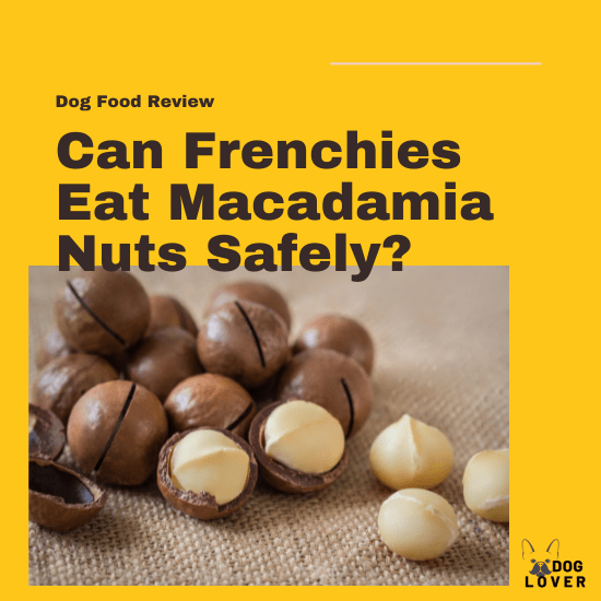 Can Frenchies eat macadamia nuts