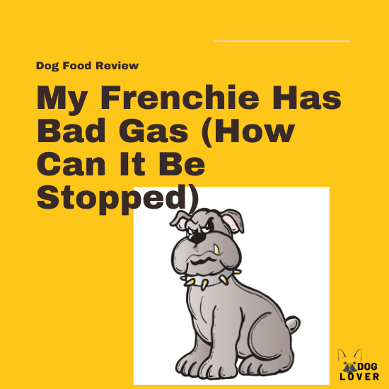 My frenchie has bad gas