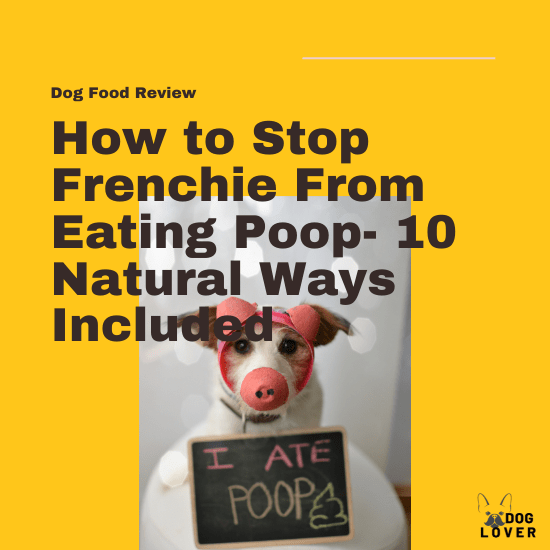 How to Stop Frenchie From Eating Poop