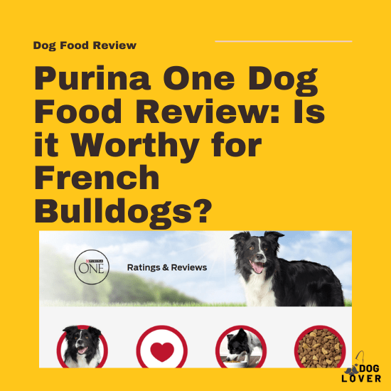 Purina One Dog Food Review