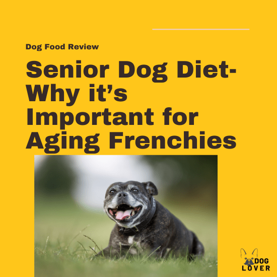 Senior dog diet