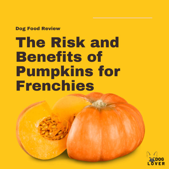 Pumpkins for Frenchies