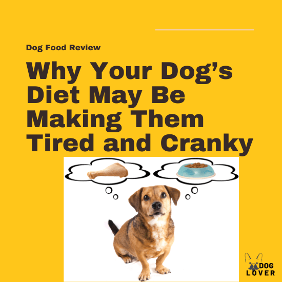 Dogs diet