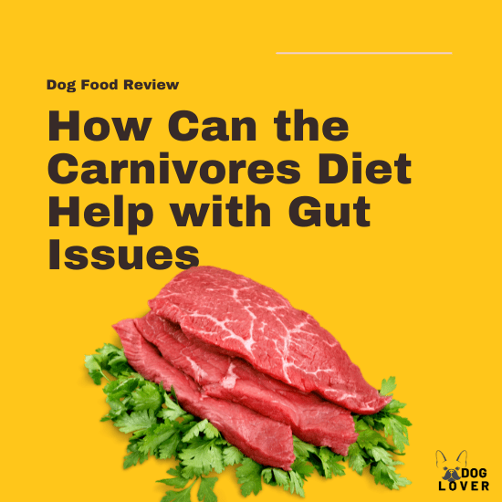 Carnivores diet