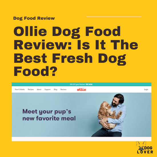 Ollie Dog Food Review