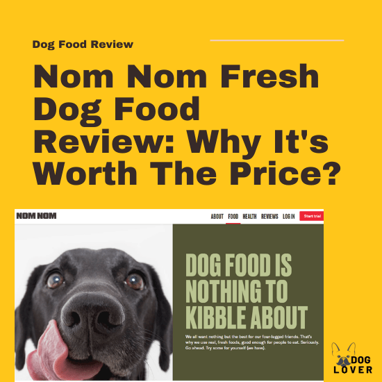 Nom Nom fresh dog food review