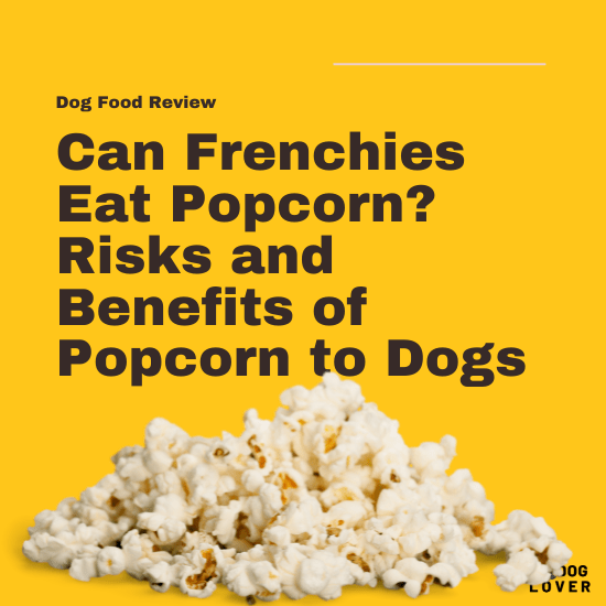 Can Frenchies eat popcorn