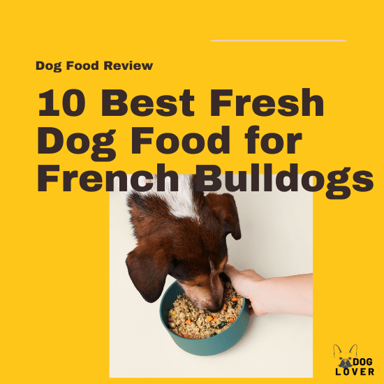 10 Best Fresh Dog Food