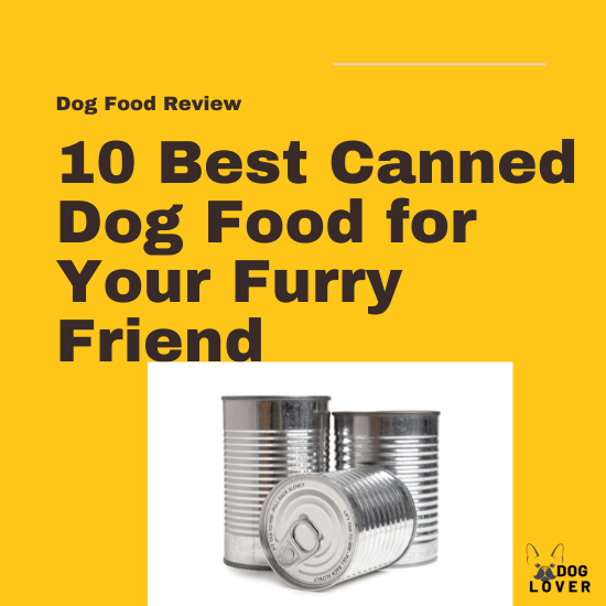 Best Canned Dog Food