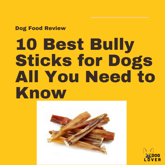 Best Bully sticks