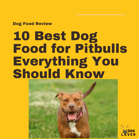 Best dog food for Pitbulls