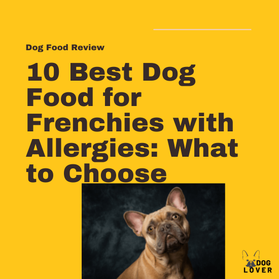 Best dog food for Frenchies with allergies