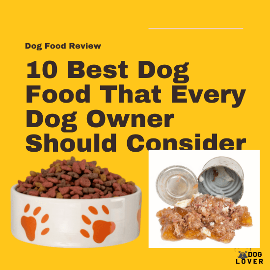 Best dog food