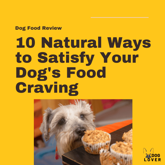 natural ways to satisfy my dog’s food craving