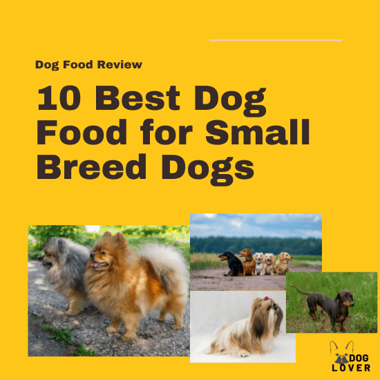 Best dog food for small breed dogs