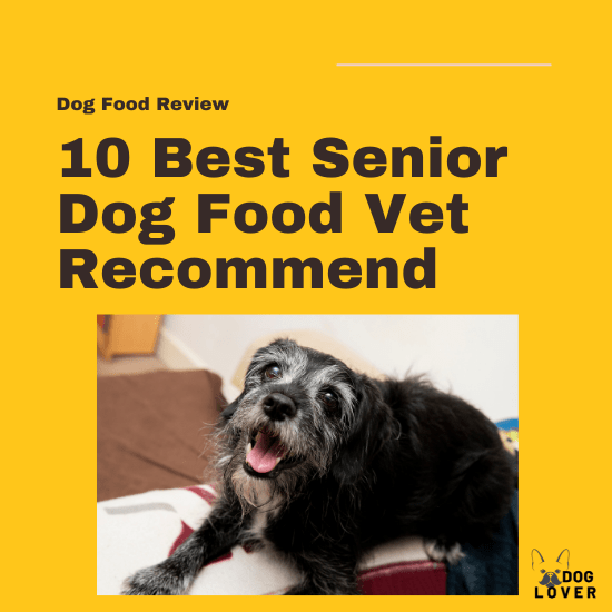 Best senior dog food