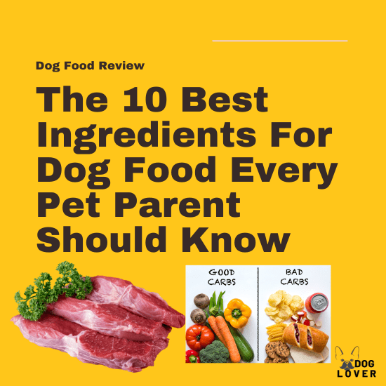 Best ingredients for dog food