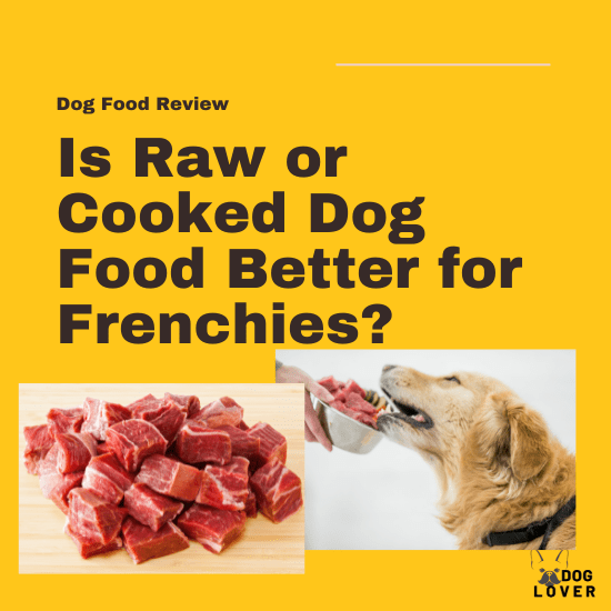 Is raw or cooked dog food better for dogs