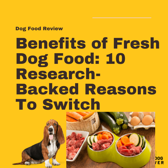 Benefits of fresh dog food