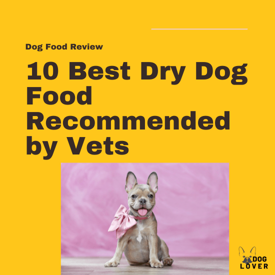 Best dry dog food