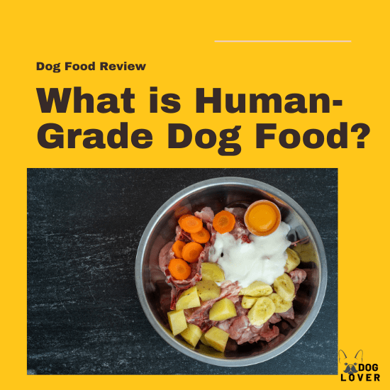 What is human grade dog food