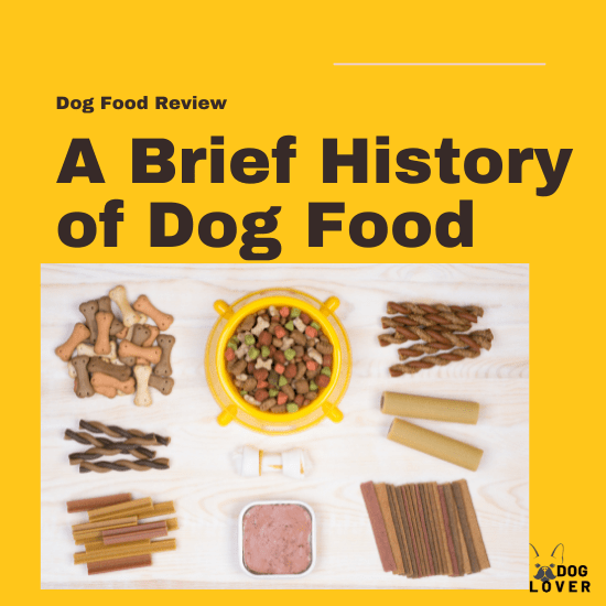 Brief history of dog food