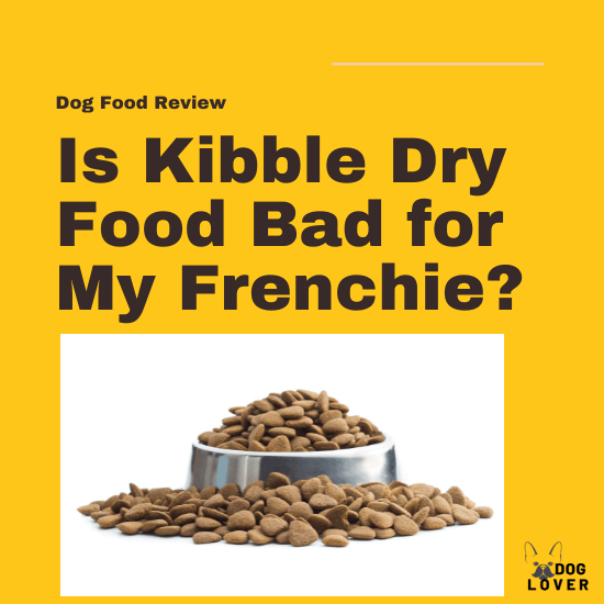 Is kibble dry bad