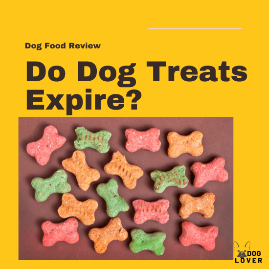 Do Dog Treats Expire