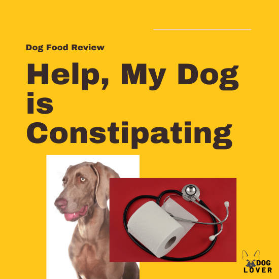 Dog is constipating