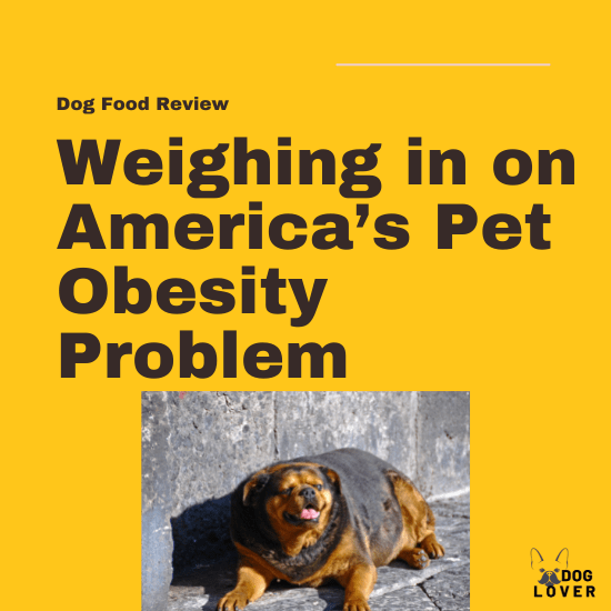 Pet obesity