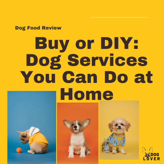 Dog services you can do at home