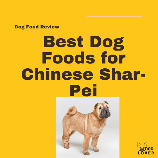 Best Dog Foods for Chinese Shar-Pei