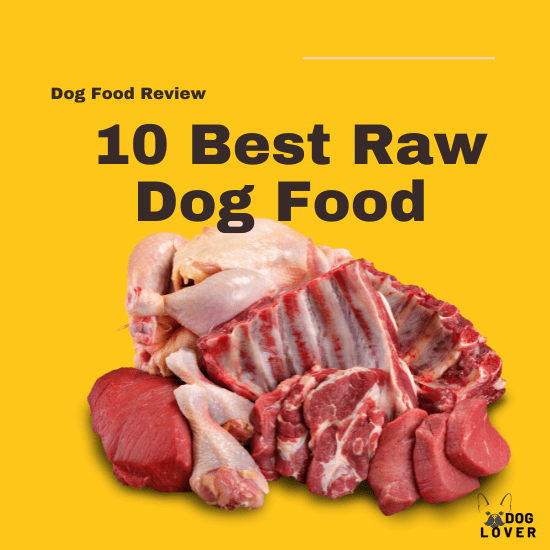 Best raw dog food
