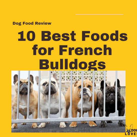 Best foods for French bulldogs
