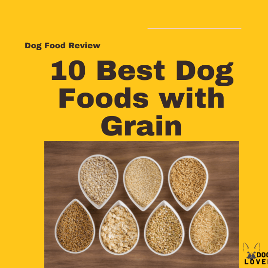 Best dog foods with grain