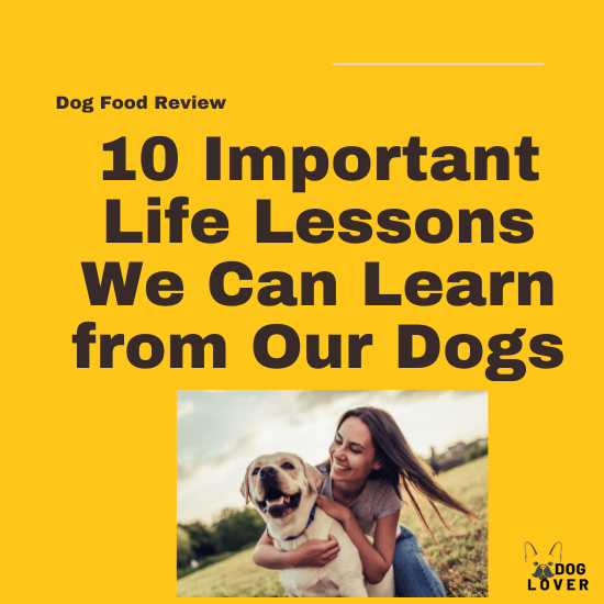 Life lessons we can learn from our dogs