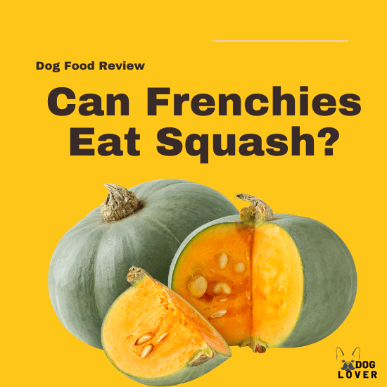 Can Frenchies eat squash?